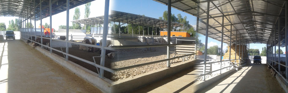 Açık, Kapalı Besi Çiftlikleri Uygulamaları